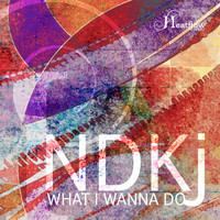 NDKJ - What I Wanna Do