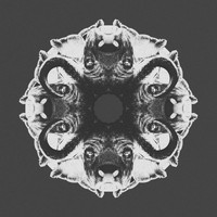 Nicolas Meyer - Cow Homework (The Remixes)