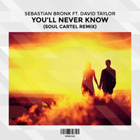Sebastian Bronk - You'll Never Know (Soul Cartel Remix) [feat. David Taylor]