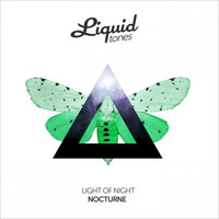 Light of Night - Nocturne