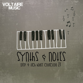Various Artists - Synths and Notes 23