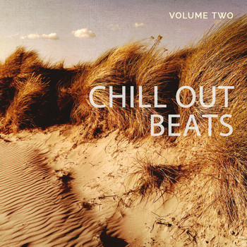 Various Artists - Chill out Beats, Vol. 2 (Finest Lounge & Ambient Music)