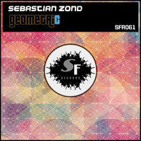 Sebastian Zond - Geometric