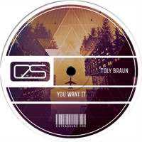 Toly Braun - You Want It
