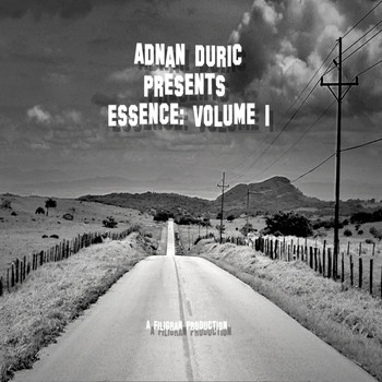 Various Artists - Adnan Duric Pres. Essence, Vol. 1