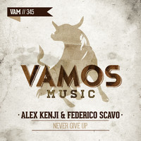 Alex Kenji, Federico Scavo - Never Give Up