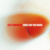 Skye Hammond - What Are You Doing