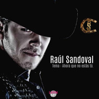 Raul Sandoval - Ahora Que No Estas Tu