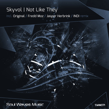 Skyvol - Not Like They