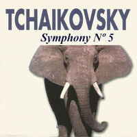 SWF Symphony Orchestra Baden-Baden - Tchaikovsky - Symphony Nº 5