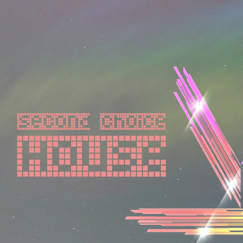 Various Artists - Second Choice, House