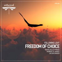 Following Light - Freedom of Choice