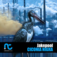 Jakepool - Ciconia Nigra