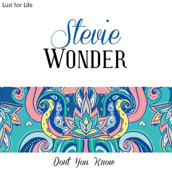 Stevie Wonder - Don't You Know