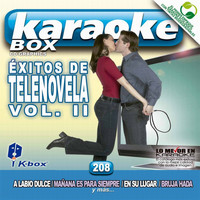 Karaoke Box - Éxitos De Telenovela Vol. II (Karaoke Version) (Karaoke Version)