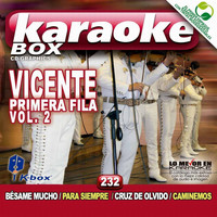 Karaoke Box - Vicente Primera Fila Vol. 2 (Karaoke Version) (Karaoke Version)