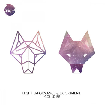 High Performance, Exper1ment - I Could Be