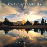 Marcus Viana - Symphony of Nature