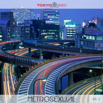 Various Artists - Metrosexual, Vol. 2