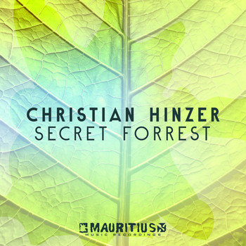 Christian Hinzer - Secret Forrest