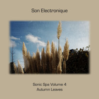 Son Electronique - Sonic Spa, Vol. 4 - Autumn Leaves