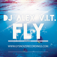 DJ Alex V.I.T. - Fly
