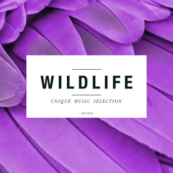 Various Artists - Wildlife - Unique Music Selection, Vol. 7