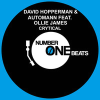David Hopperman & Automann - Crytical