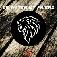 Audio Phunk - Be Water My Friend