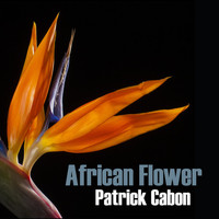 Patrick Cabon - African Flower