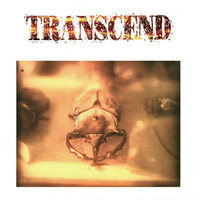 Transcend - Version 8.5