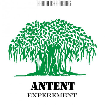 Antent - Experement