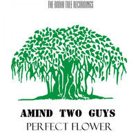 Amind Two Guys - Perfect Flower