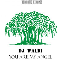 DJ Waldi - You Are My Angel