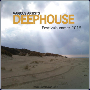 Various Artists - Deephouse Festivalsummer 2015