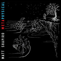 Matt Shapiro - Metaphysical
