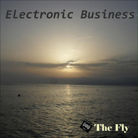 Electronic Business - The Fly