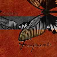 Subforms - Fragments