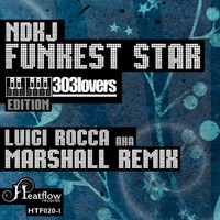 NDKJ - Funkest Star (Luigi Rocca remix)
