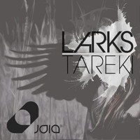 Larks - Tareki