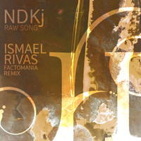 NDKJ - Raw Song (Ismael Rivas Factomania Remix)