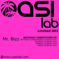 Mr. Bizz - Without Conditions