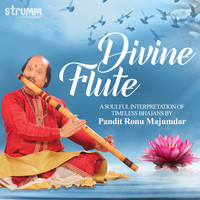 Pandit Ronu Majumdar - Divine Flute - A Soulful Interpretation of Timeless Bhajans