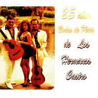 Los Hermanos Castro - 25 Años: Bodas de Plata