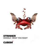 Strinner - Doodle / What You Want
