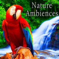 The Hollywood Edge Sound Effects Library - Nature Ambiences, Vol. 2
