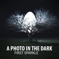 A Photo in the Dark - First Sparkle