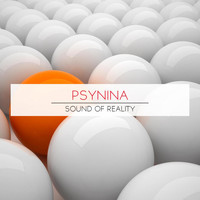 PsyNina - Sound of Realiti