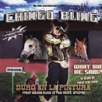 Chingo Bling - Duro en la Pintura (Explicit)