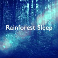 Rain Sounds, Nature Sounds and Rain for Deep Sleep - Rainforest Sleep
